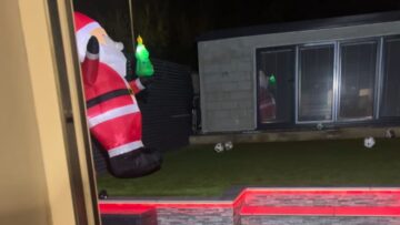 Joyful-Christmas-Surprise-Adorable-Puppies-Reveal-Happiness-for-Kids.jpg
