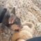 Owner’s finger mistaken for treat by aggressive doggo! Almost loses it! | Super Cute