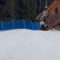 Poland’s Wildest Ski Jump Fail: Can You Keep a Straight Face? | Try Not to Laugh!
