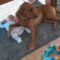 Protective Pup Lovingly Adopts Baby Girl as His Own | Heartwarming