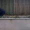 Storm Éowyn Strikes Back: Man’s Hilarious Regret Caught on Camera | Try Not to Laugh!
