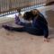 Wheels of Fortune: Watch This Woman’s Hilarious Roller Skating Wipeout! | Try Not to Laugh