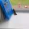 Bird rescue mission ends in hilarious mishap! | Adorable 🐦