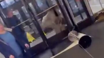 Designer-Dash-Thieves-Snag-Louis-Vuitton-in-NYC—Watch-What-Happens.jpg
