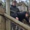 Family’s Playground Fumble Turns into a Hilarious Adventure at BeWILDerwood | Try Not to Laugh!