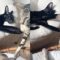 Funny Cat Pursues Crush | Super Cute