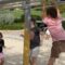 Kid’s Wild Ride Takes a Hilarious Turn! Epic Park Fail Caught on Camera! | Try Not to Laugh!