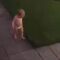 Mood swings! Baby’s adorable reaction to mom’s hug | Super Cute
