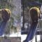 Romania Zoo Garden: Bear Slide Fun | Adorable