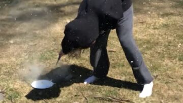 Eggsplosive-Chaos-Boys-Get-Egged-in-Hilarious-Challenge-Try.jpg