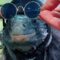 Iguana’s Halloween Costume Show! Get Ready for Some Spooky Fun | Super Cute