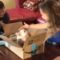 Surprising Kids with an Adorable Puppy: A Heartfelt Moment they’ll Never Forget | Heartwarming