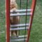 Watch This Chunky Ginger Cat’s Epic Ladder Fumble! | Try Not to Laugh!