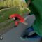 Epic Skating Slip-ups: Hilarious Wipeouts That Will Have You in Stitches! | Try Not to Laugh!
