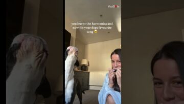 Heartwarming-Dog-Joins-in-Adorable-Duet-of-‘Piano-Man-–.jpg