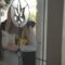 Man’s heartwarming wedding proposal at home | Super Cute
