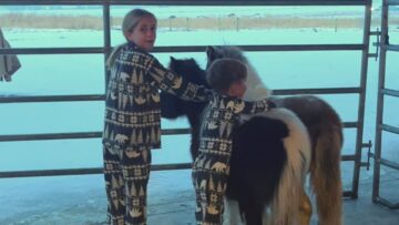 Christmas-Surprise-Kids-Get-Ponies-Hilarity-Ensues-Try-Not.jpg
