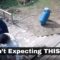 Epic BBQ Blunder: Dad’s Hilarious Missed Moment Will Leave You in Stitches! | Try Not to Laugh