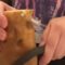 Watch This Kitchen Chaos: Dollar Tree Peeler Gets Out of Control! | Try Not to Laugh