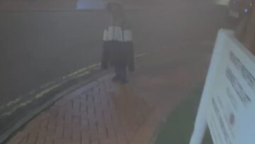 When-a-Bird-Drops-the-Ultimate-Surprise-Hilarious-Fun-Walk.jpg