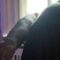 Window Watcher: Adorable Doggo’s Paw-sitive Antics Caught on Camera! | Super Cute