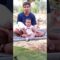 Adorable Moments of Mama and Baby Sister | Heartwarming Fun You Can’t Miss! | Super Cute!