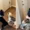 Joyful Pups Celebrate Soldier’s Return Home with Unmatched Excitement! | Heartwarming
