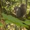 Squirrel Surprise: A Whimsical Snack Adventure Together | Super Cute!