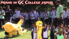 Teddy-Bear-Shenanigans-Hilarious-Prank-at-GC-College-Jajpur.jpg