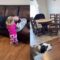 Watch This Dog YANK the Sofa in Epic Tug of War! Can You Handle the Cutness? | Adorable