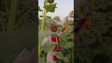 Watch-This-Heartwarming-Moment-That-Will-Make-You-Smile-Instantly.jpg